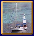 Random Wind from St Martin Activities St Maarten Activities Sint Maarten Activities Saint Martin Activities