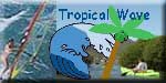 Chez Pat Tropical Wave Sailboards, Kayaks, and more on St Martin activities St Maarten Activities Sint Maarten Activities Saint Martin Activities